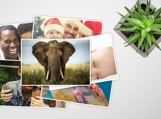 Photo2Print Prints | Photographic Photoprints