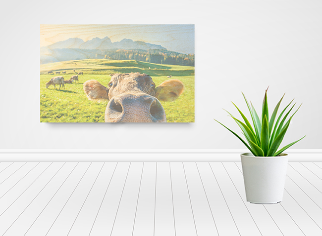 Photo2Print | Birch Wood Photo Blocks Wall Décor